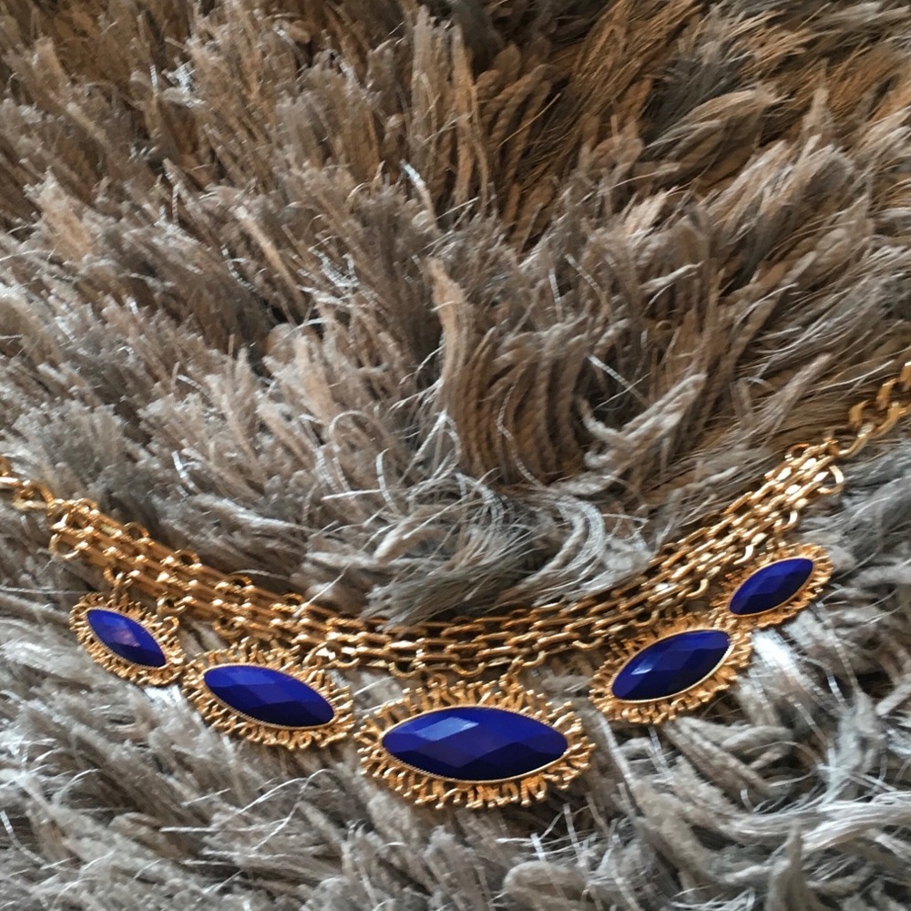 NWT Francesca’s Collection Cobalt Blue Necklace